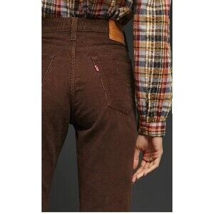 Levi’s Wedgie Straight Corduroy Jeans Brown Size 27 NWOT High-Rise Vintage Fit